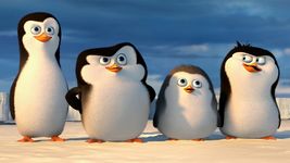 Мультфильмы про пингвинов